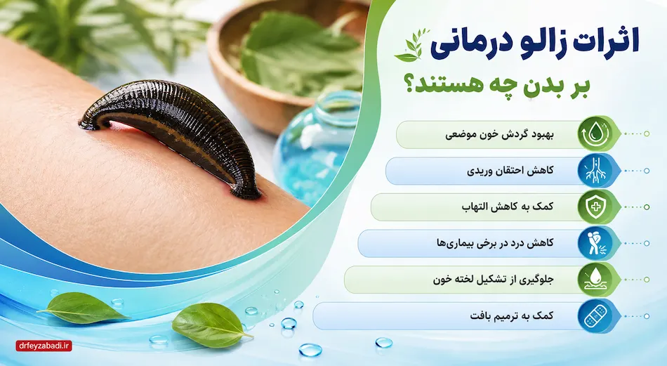 اثرات زالو درمانی بر بدن شامل چه مواردی هستند؟